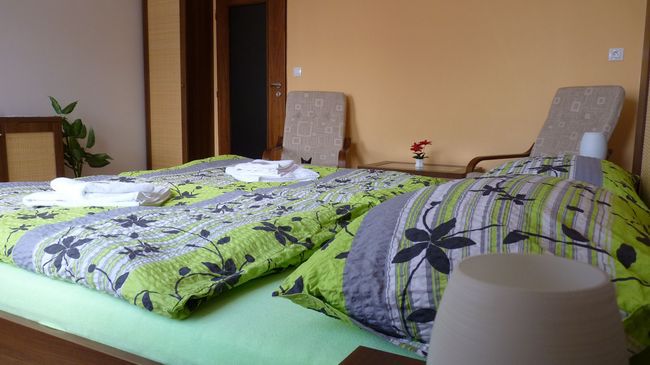 Hotel Art Pisek  Room photo